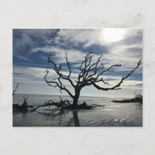 Jekyll Island Georgia Postkarte