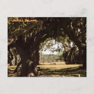 Jekyll Island Weg zum Sumpf Postkarte