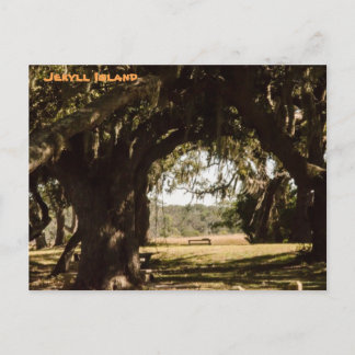 Jekyll Island Weg zum Sumpf Postkarte