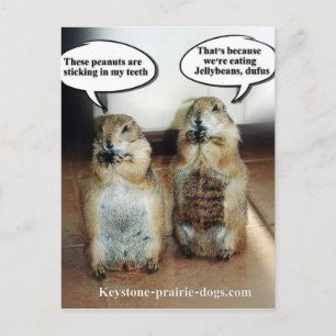 Jelly Beans Postkarte