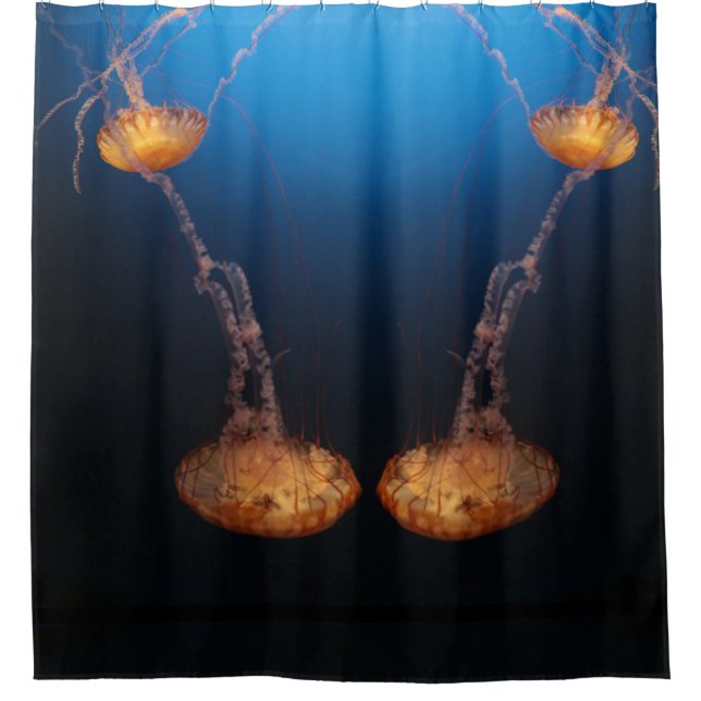Jelly fish Duschvorhang (Vorderseite)