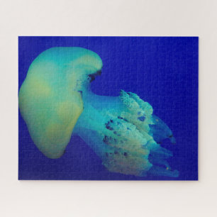Jelly Fish Jigsaw Puzzle