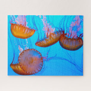 Jelly Fish Puzzle