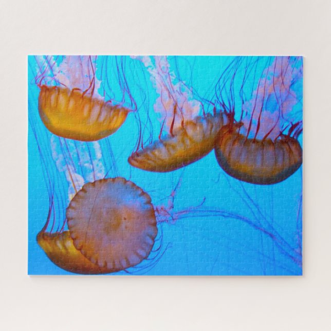 Jelly Fish Puzzle (Horizontal)