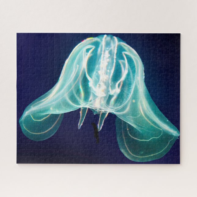 Jelly Fish Puzzle (Horizontal)