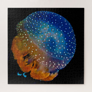 Jelly Fish Puzzle