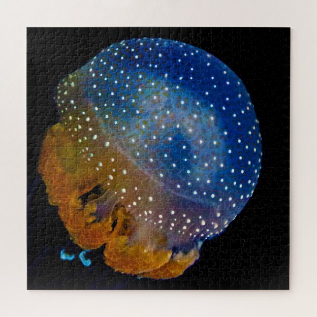 Jelly Fish Puzzle (Horizontal)