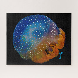 Jelly Fish Puzzle