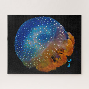 Jelly Fish Puzzle