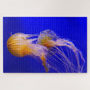 Jelly Fish Puzzle