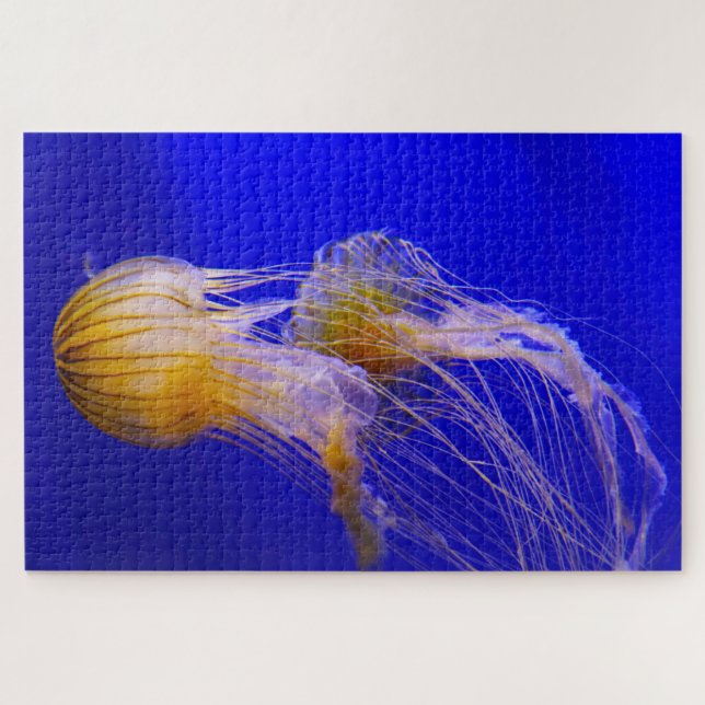 Jelly Fish Puzzle (Horizontal)