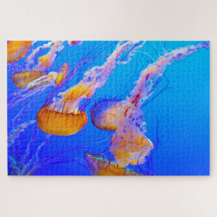 Jelly Fish Puzzle