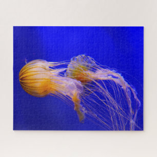 Jelly Fish Puzzle