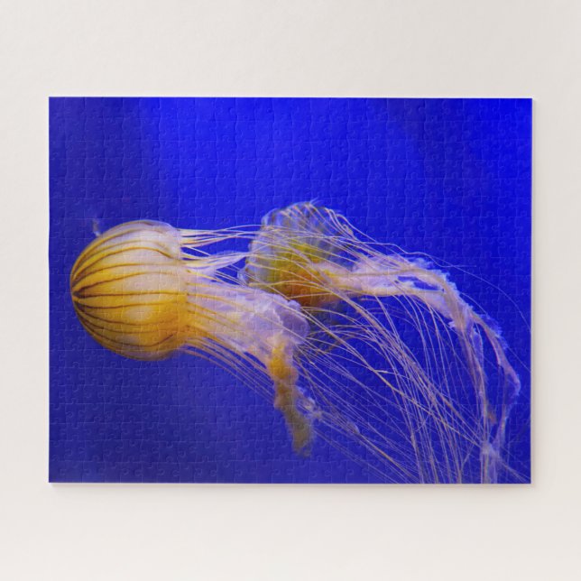 Jelly Fish Puzzle (Horizontal)