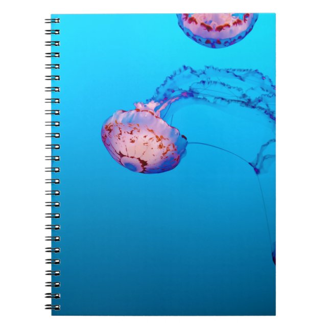 JELLY FISHES UNTERWASSER NOTIZBLOCK (Vorderseite)