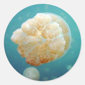 Jelly Runder Aufkleber