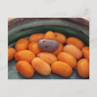 Jellyboa John 6:27 Postcard Postkarte