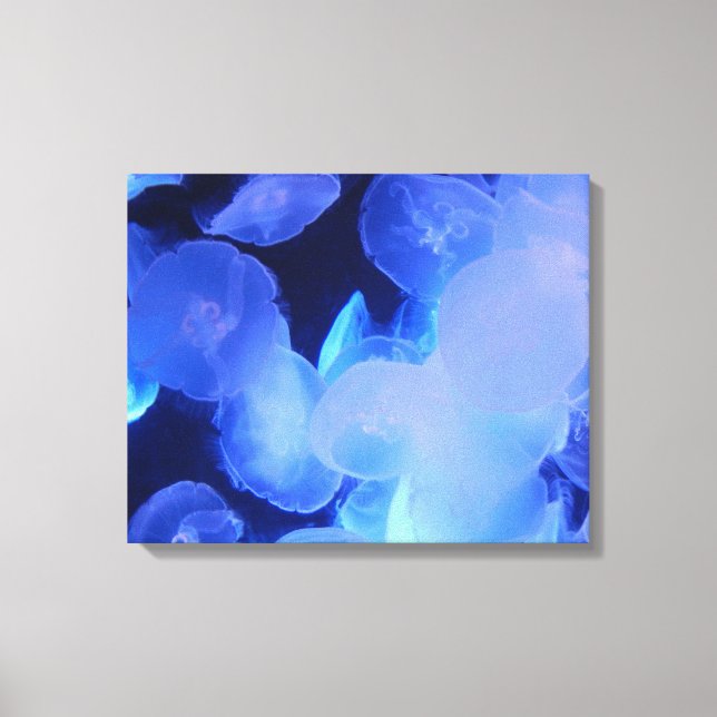 JELLYFISH AUF LEINWAND 20 "x 16" (Vorderseite)