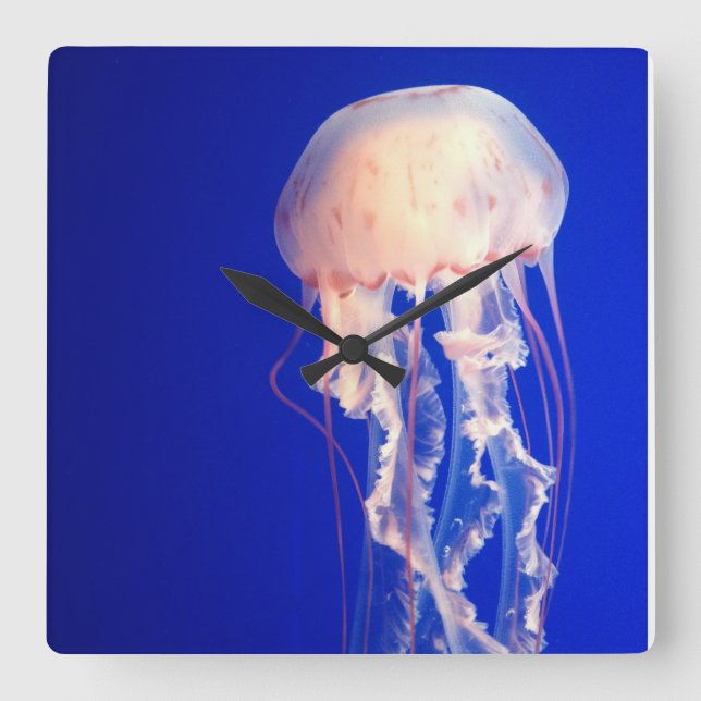 Jellyfish Clock Quadratische Wanduhr (Vorderseite)