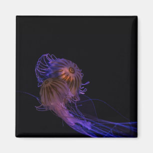 Jellyfish Dance Partners Magnet