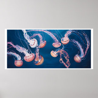 Jellyfish Jam von Paul Jackson, aws, nws Poster