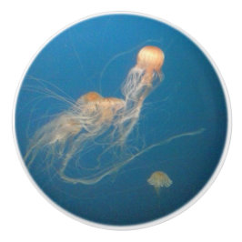 JellyFish Keramik Möbelknöpfe Keramikknauf