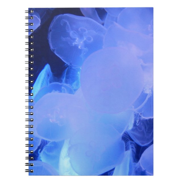 JELLYFISH NOTEBOOK NOTIZBLOCK (Vorderseite)