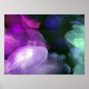 JELLYFISH POSTER
