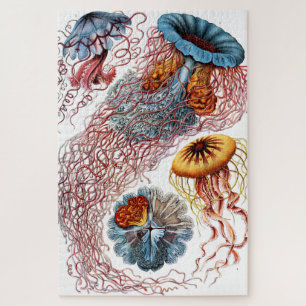 Jellyfish (Scheibenquallen) von Ernst Haeckel Puzzle