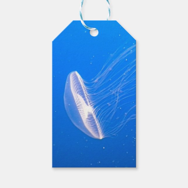 Jellyfish Tentacles Geschenkanhänger (Vorderseite)