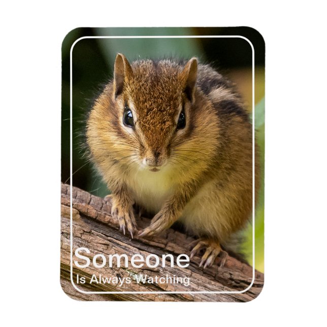 Jemand beobachtet Chipmunk Magnet (Vertikal)