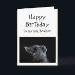 Jemand, den ich zu Brother Birthday Animal Spaß sc Karte<br><div class="desc">Jemand,  den ich zu Brother Birthday Animal Spaß schaue Es gibt viel Platz,  um Ihre eigene Nachricht hinzuzufügen</div>