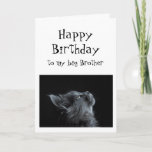 Jemand, den ich zu Brother Birthday Animal Spaß sc Karte<br><div class="desc">Jemand,  den ich zu Brother Birthday Animal Spaß schaue Es gibt viel Platz,  um Ihre eigene Nachricht hinzuzufügen</div>