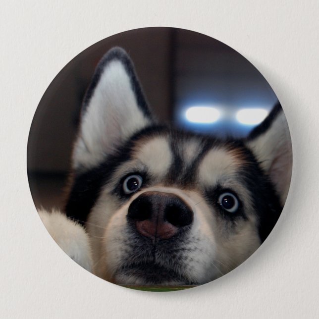 Jemand dort draussen? button (Vorderseite)