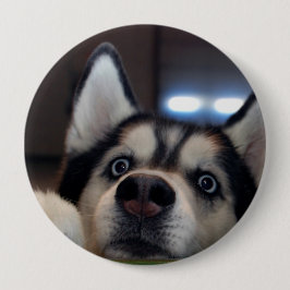 Jemand dort draussen? button