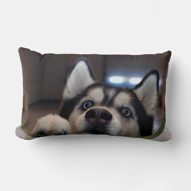 Jemand dort draussen? lendenkissen (Vorderseite)