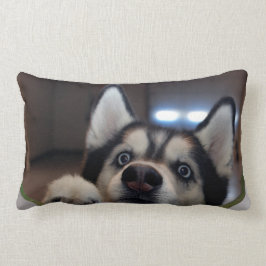 Jemand dort draussen? lendenkissen