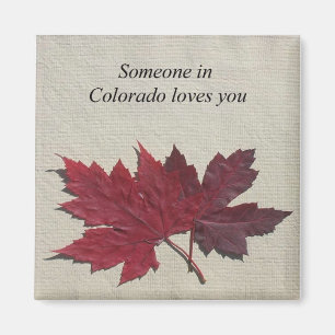 Jemand in Colorado Lieben You Magnet