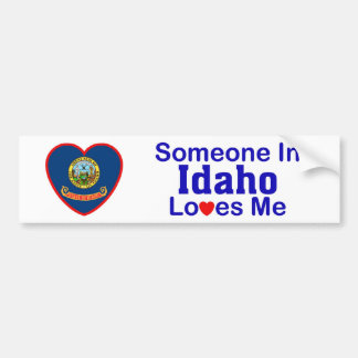 Jemand in Idaho-Lieben ich Autoaufkleber