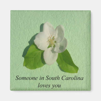 Jemand in South Carolina Lieben You- Apple Blossom Magnet