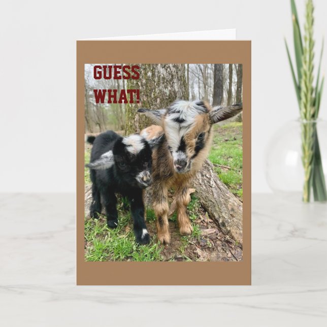 JEMAND "SEHR BESONDERS" HAT EINEN **GEBURTSTAG** KARTE (Vorderseite)