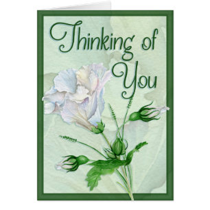 Jemand Wertvoll verloren