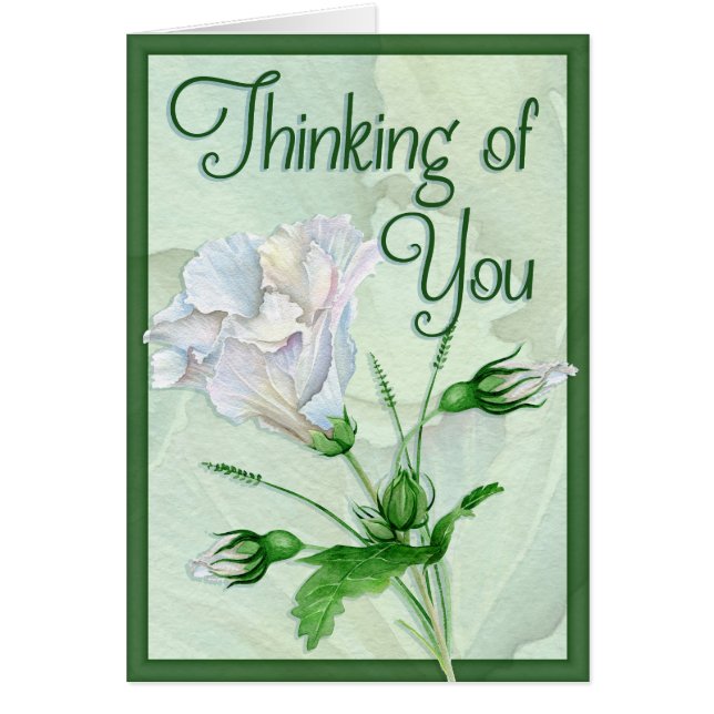 Jemand Wertvoll verloren (Vorne)