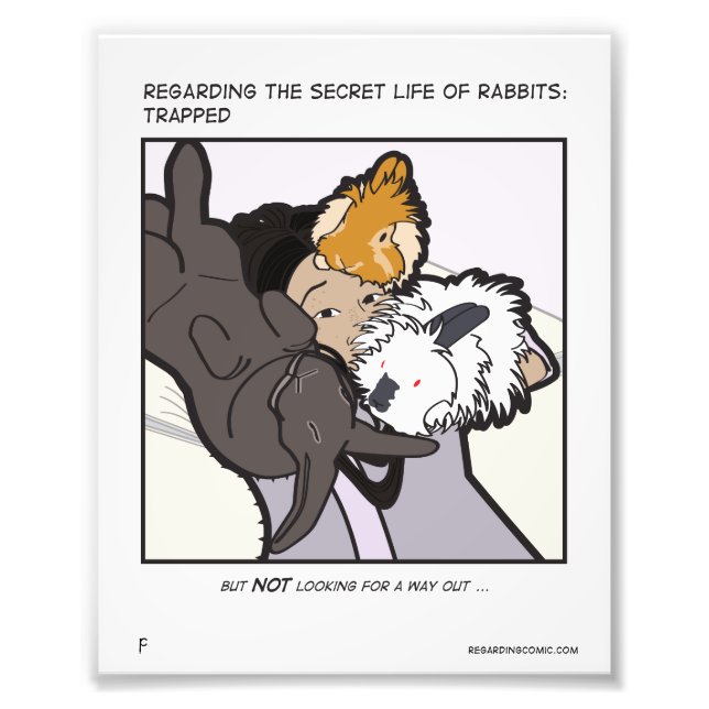 Jen Eli und Buns Fotodruck (Vorne)