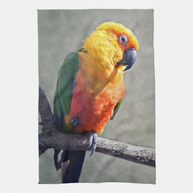 Jenday Conure Geschirrtuch (Vertikal)