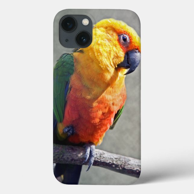 Jenday Conure iPad Hülle (Rückseite)