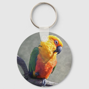 Jenday Conure Keyring Schlüsselanhänger