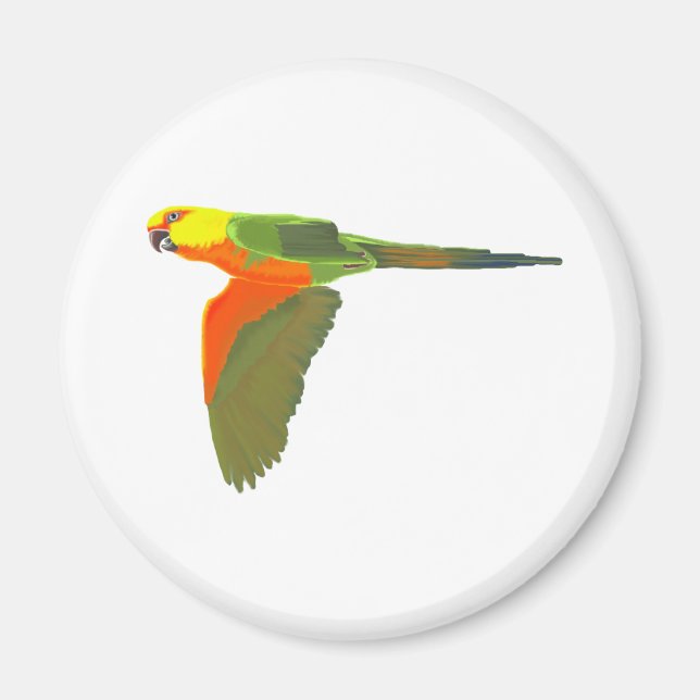 Jenday Conure Magnet (Vorne)