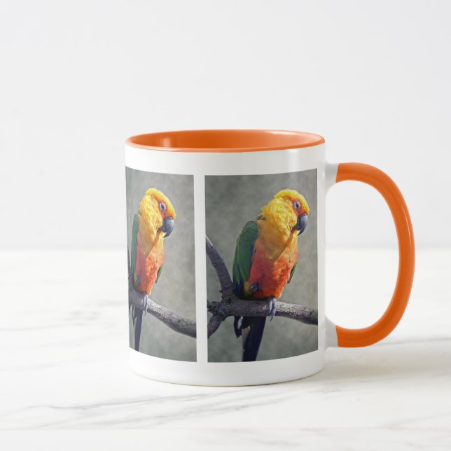 Jenday Conure Tasse (Rechts)