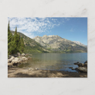 Jenny Lake im Grand Teton National Park Postkarte